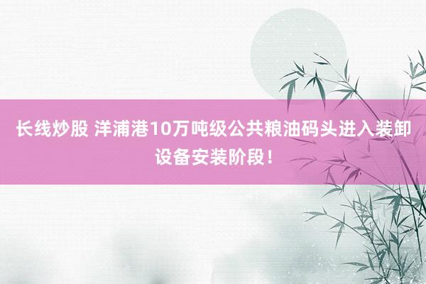 长线炒股 洋浦港10万吨级公共粮油码头进入装卸设备安装阶段！